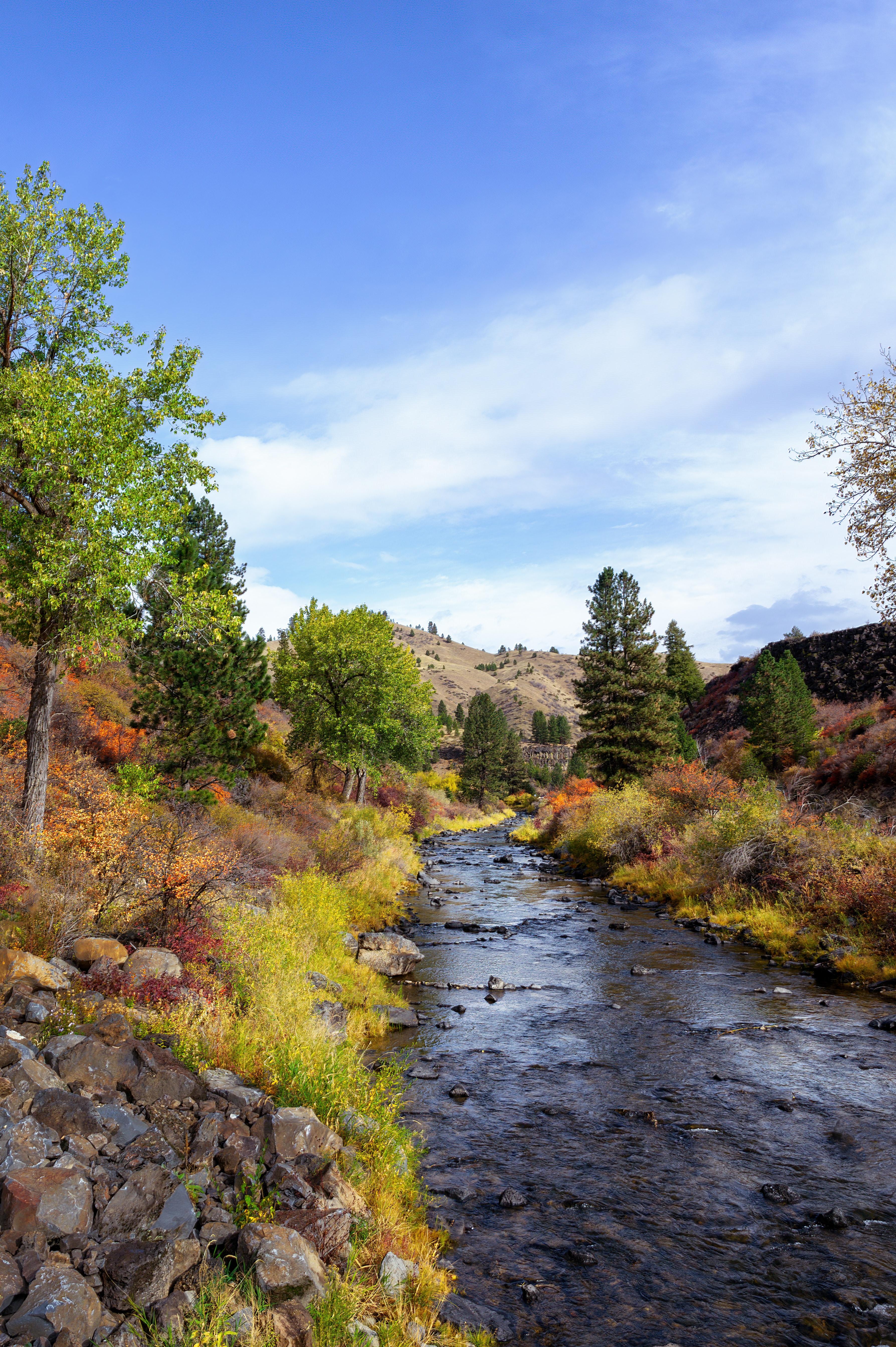 camp roberts california