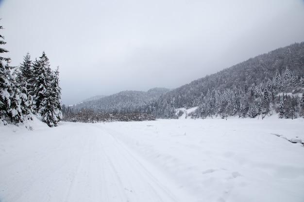 christmas in jasper