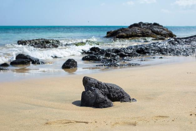 fortunes rocks beach