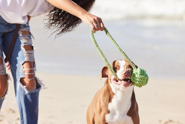 dogs knotted to women