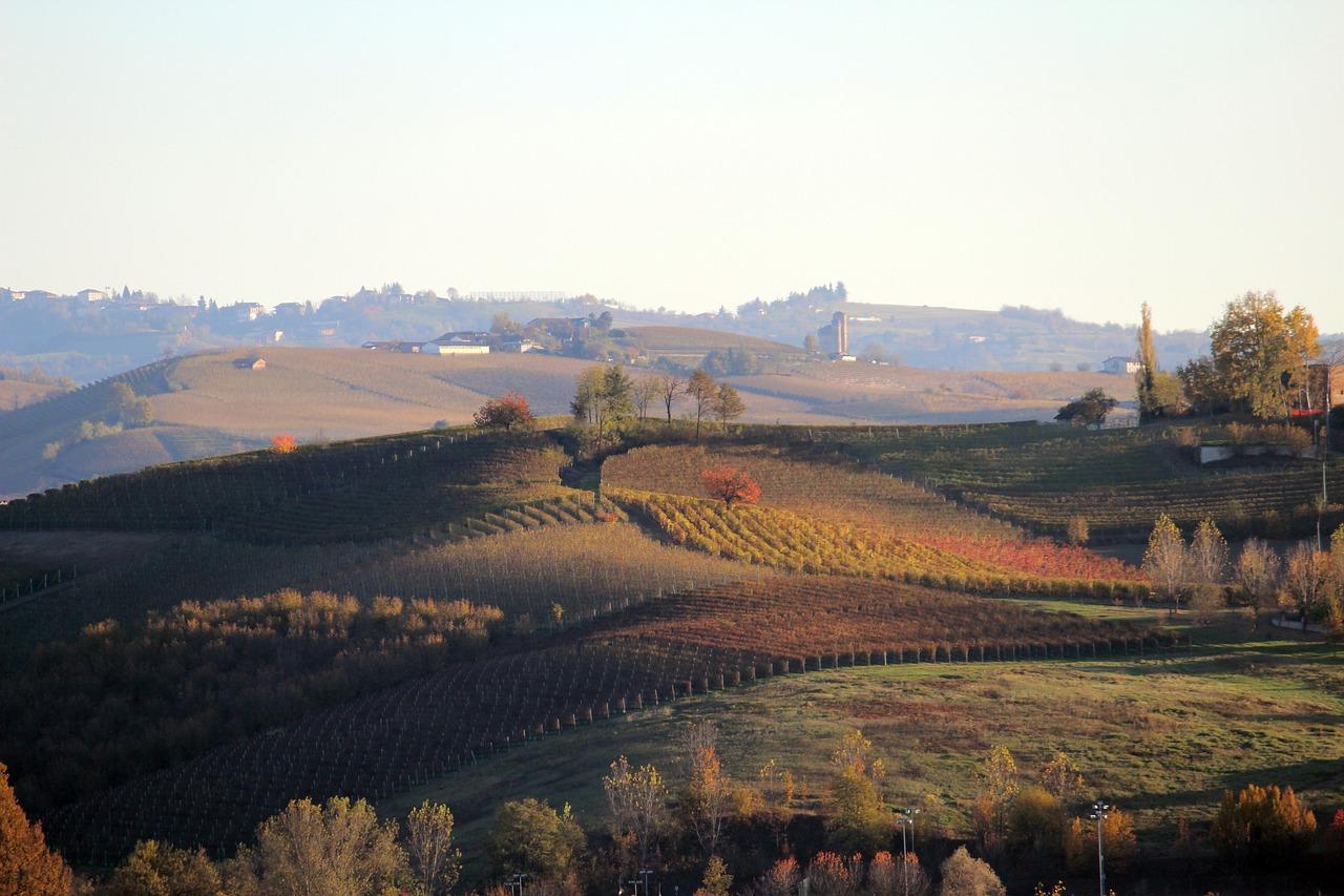 2017 barolo