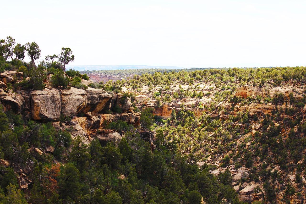 riverview park in mesa