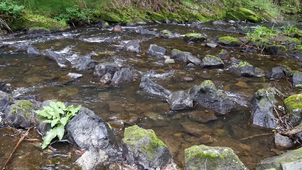 granite falls fish ladder