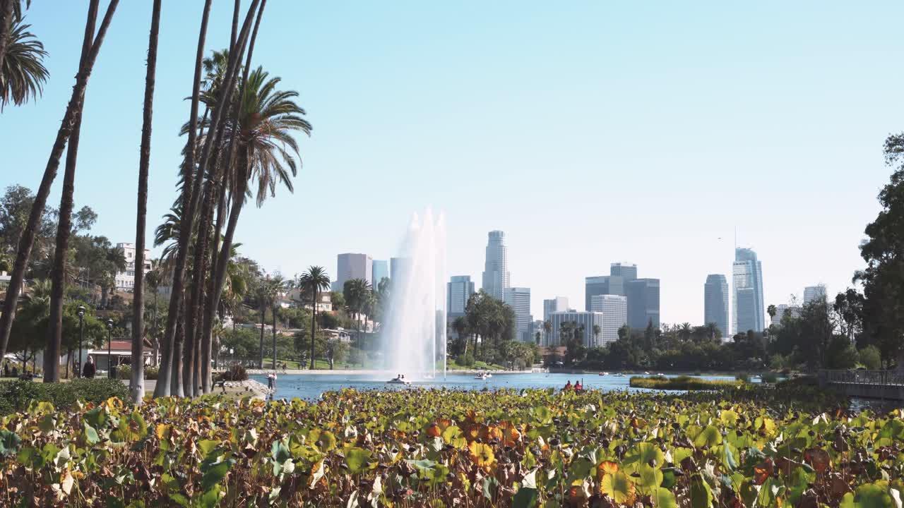 trees of echo park