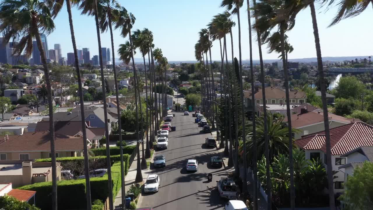 trees of echo park