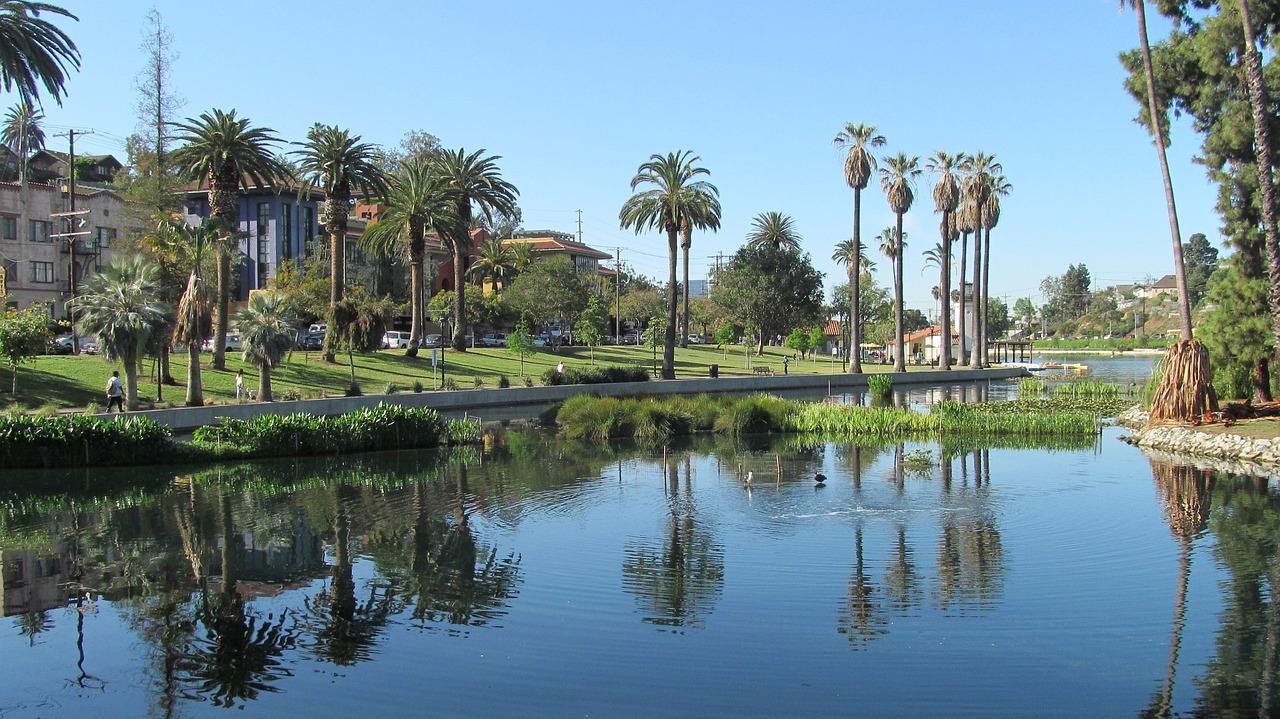 trees of echo park