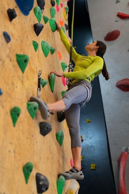 gecko climbing gym