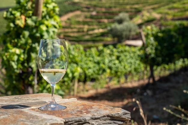 grape stomping douro valley