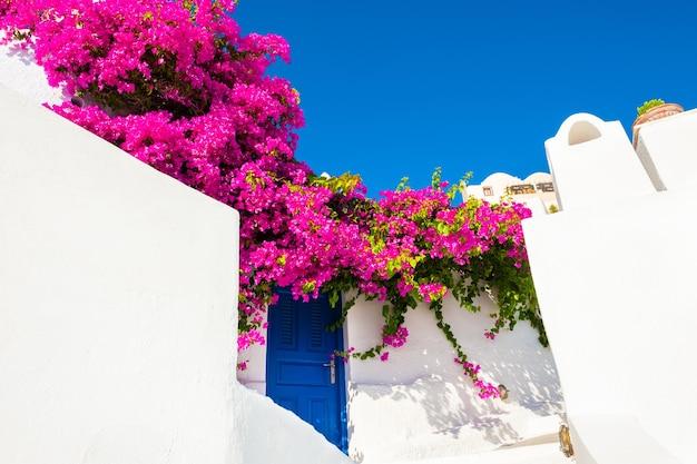 greek flowers