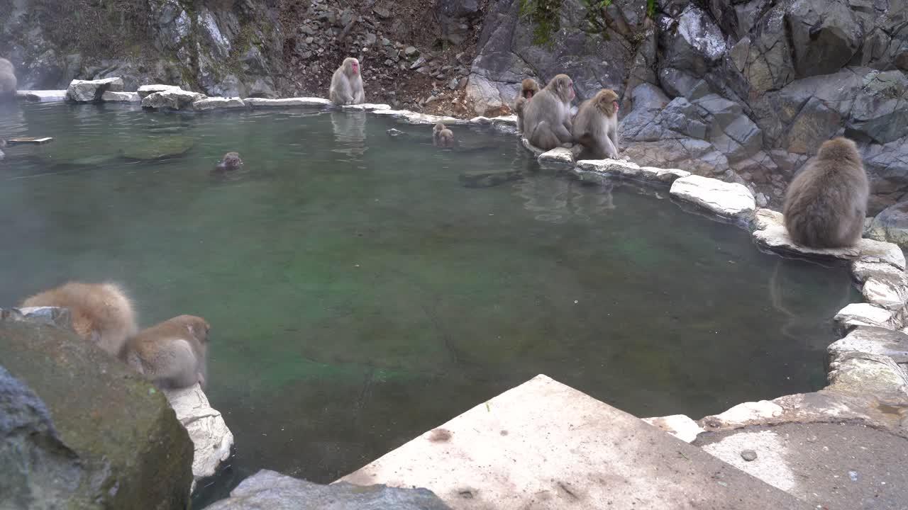 green canyon hot springs