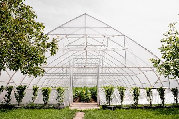 modern greenhouse technology