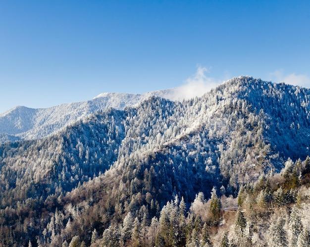 mt leconte weather