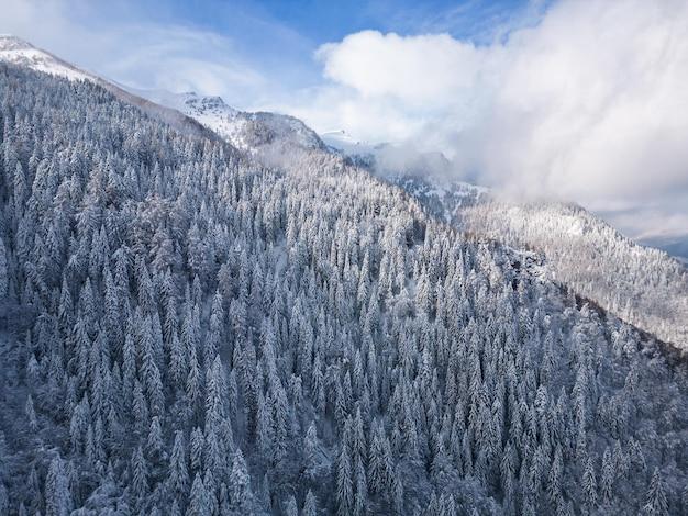 mt leconte weather