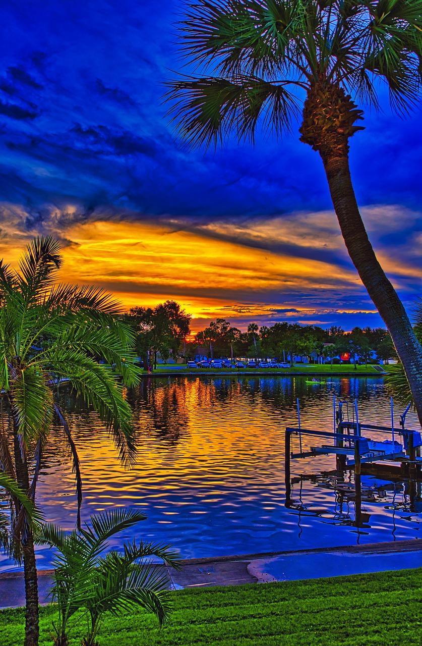 tarpon springs library