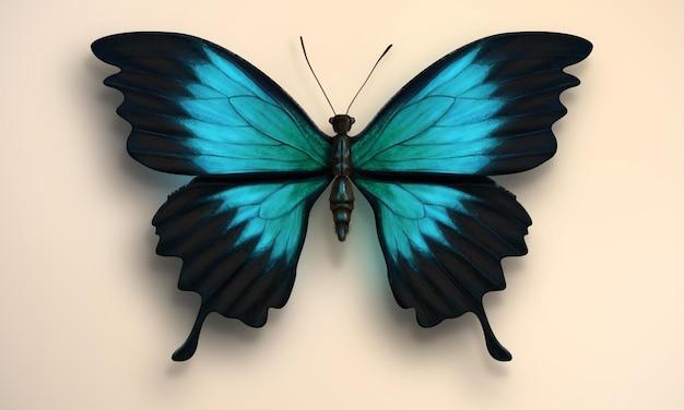 black and blue butterfly