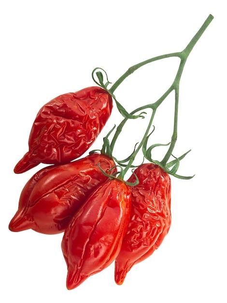 fatalii pepper