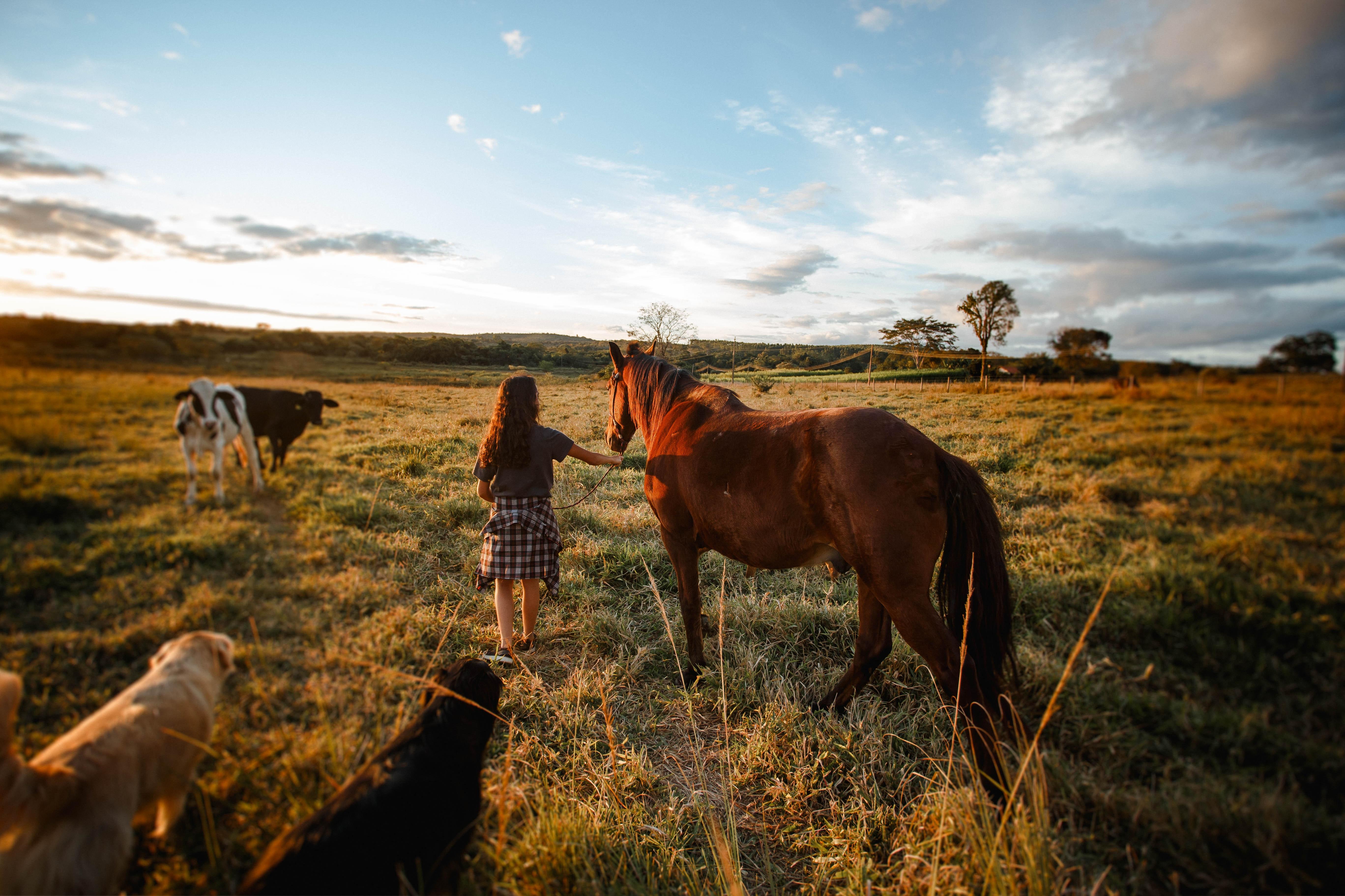 the ranch season 9