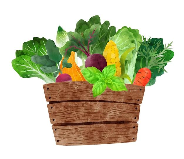 veggie box