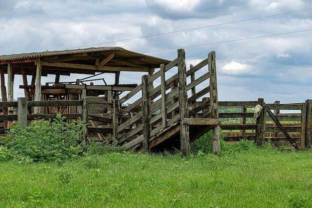 cattle chute