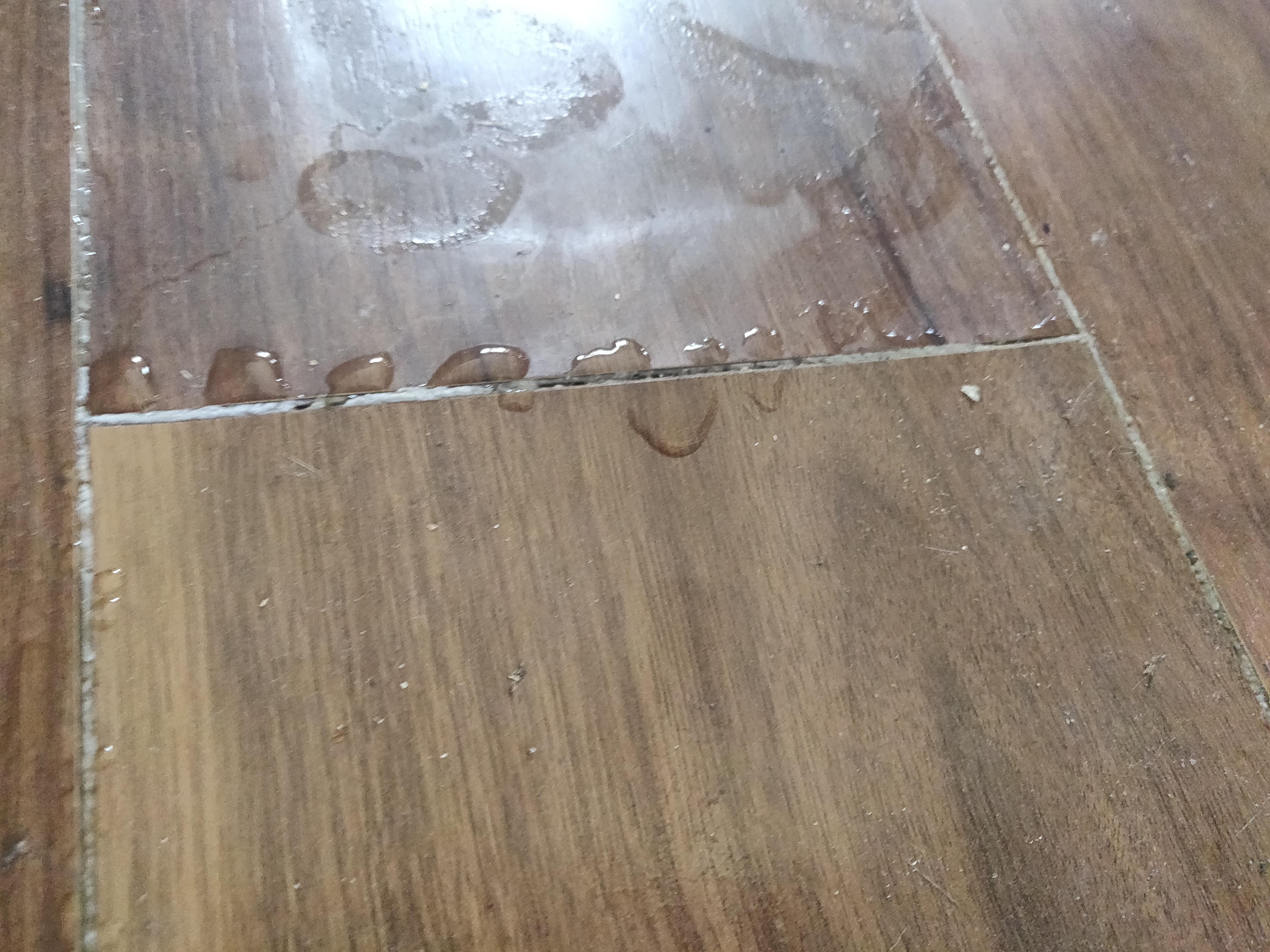 Water on Floor but No Leak What's causing it and How to Fix it OATUU