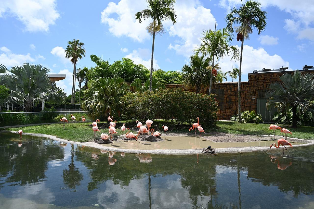 flamingo west park