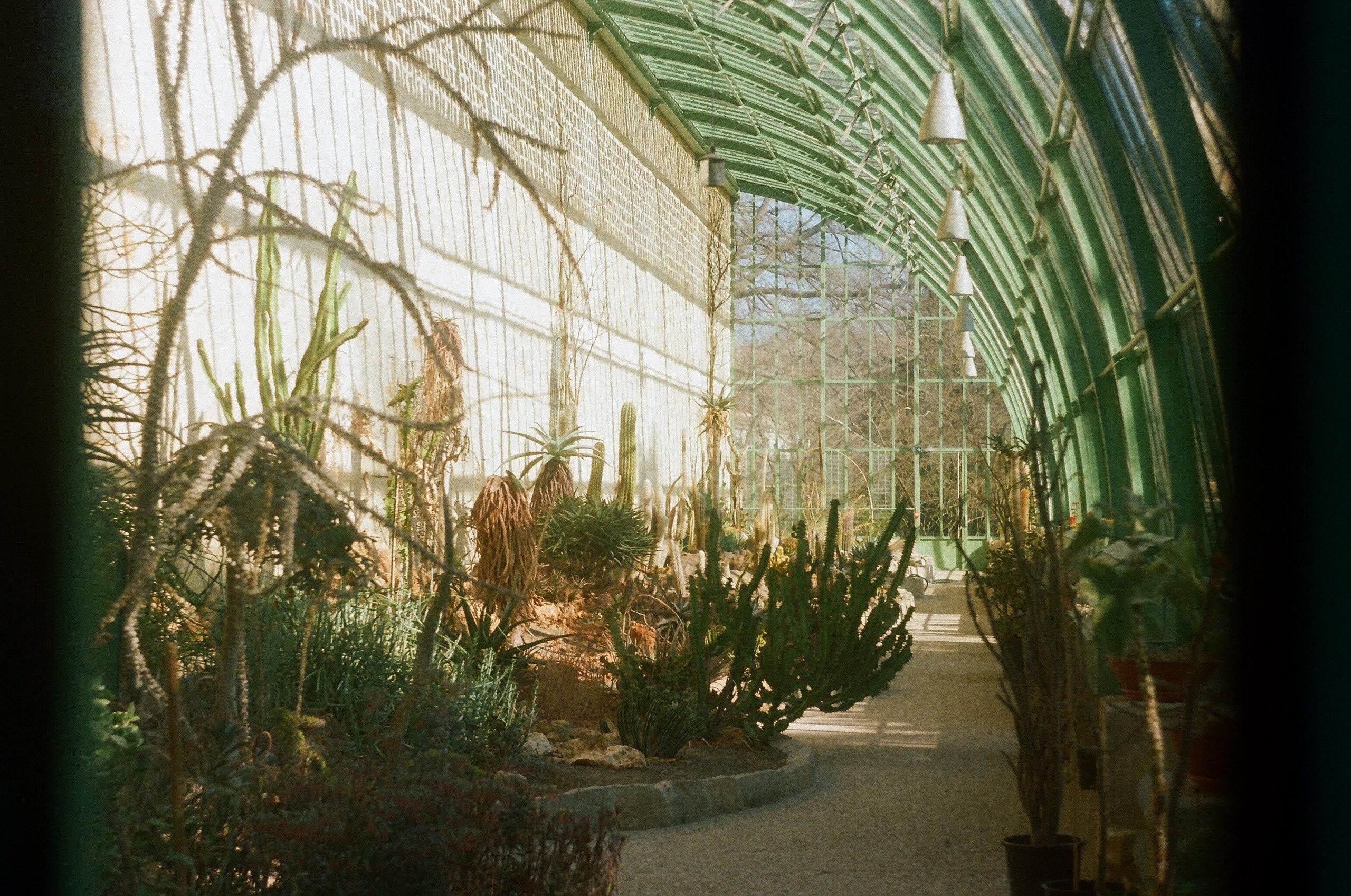 martin's garden center