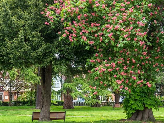 stratford park