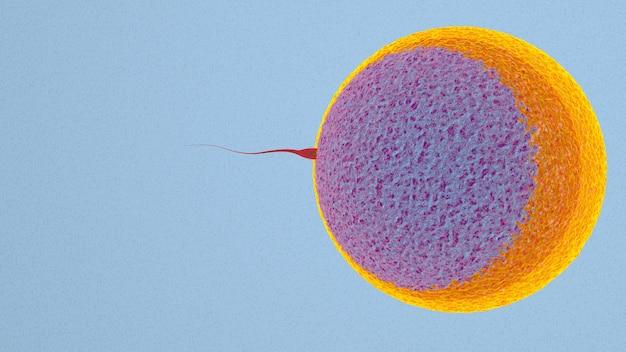What if dog sperm meets a human egg?