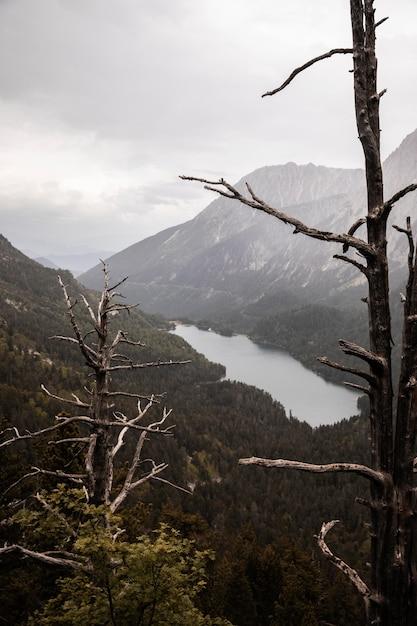 yankee jim canyon