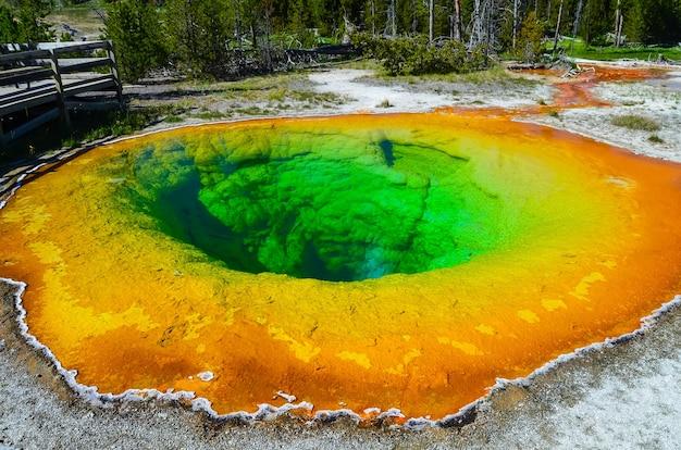 yellowstone nude scene