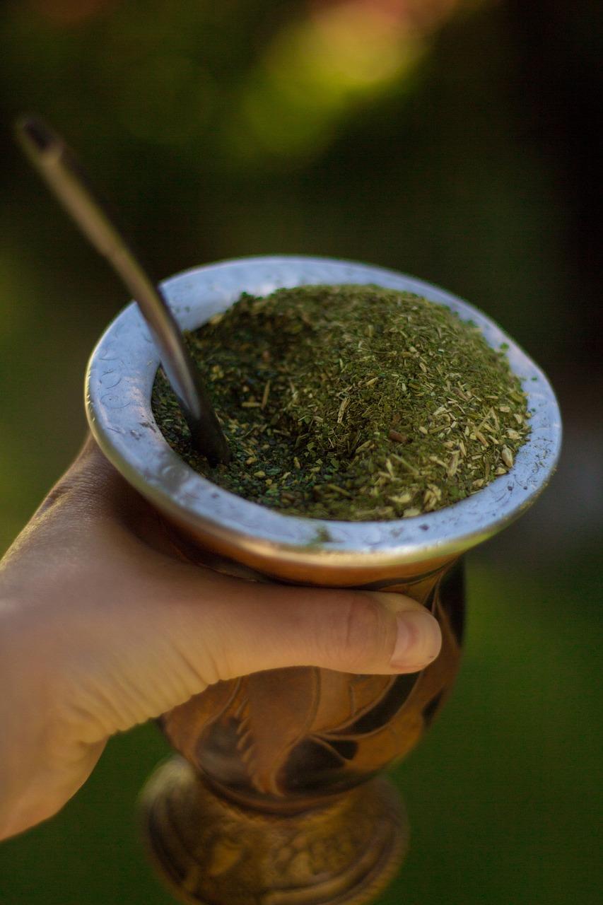 yerba mate cannabica