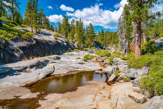  How Do You Replace A Lost National Parks Senior Pass 