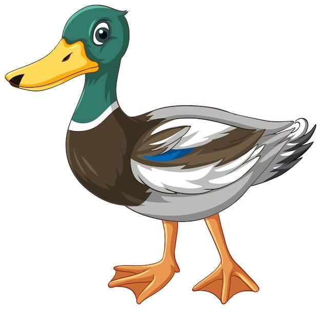  What Is A Duck’s Favorite Color 