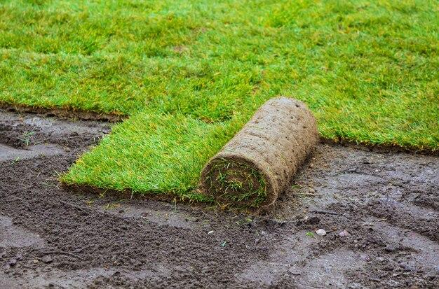 How Do I Level My Lawn After Tilling 