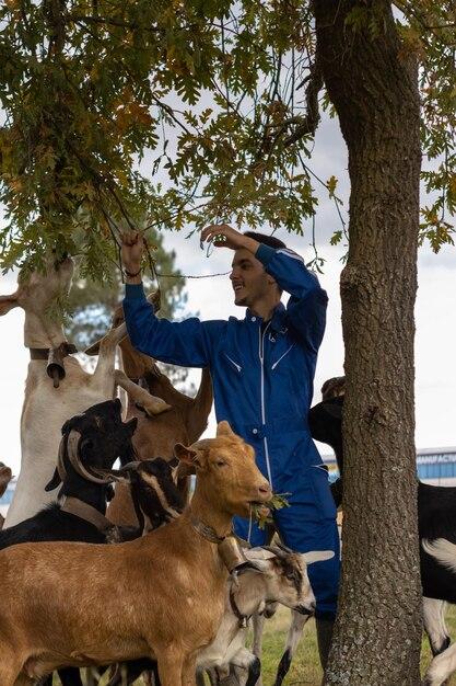 What are the branches of animal husbandry? 