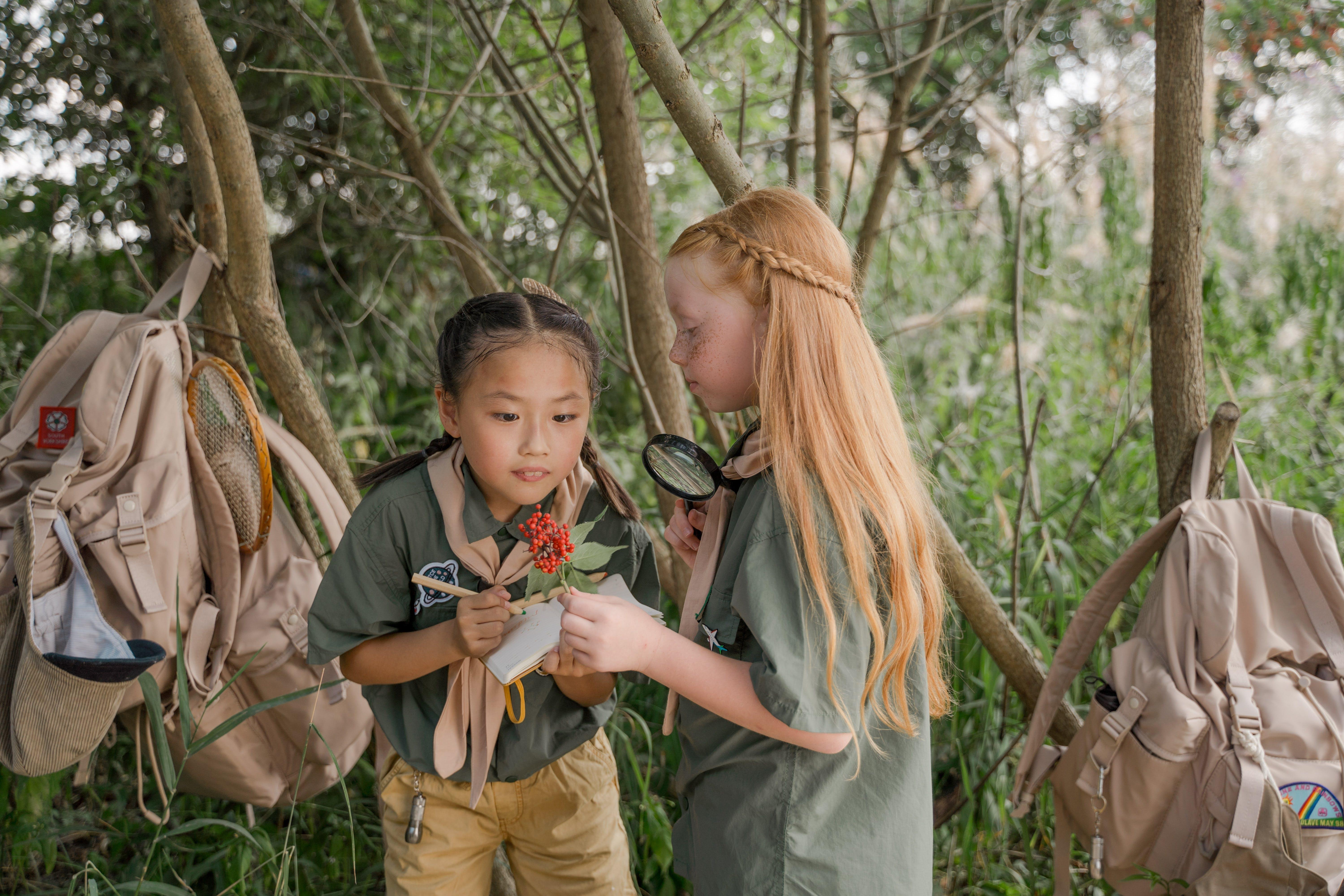 Are Bluebirds part of the Girl Scouts? 