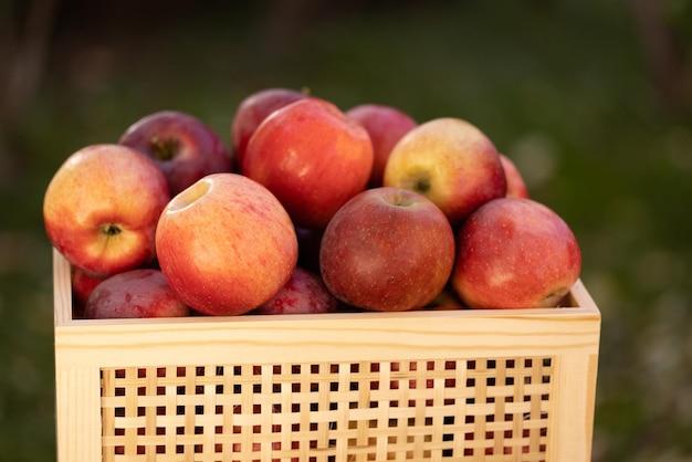  Can I Put Apples And Citrus In The Same Drawer 