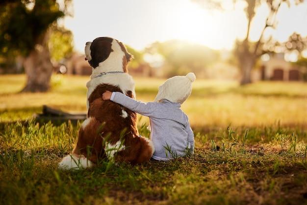 Do Big Dogs Know To Be Gentle With Small Dogs 