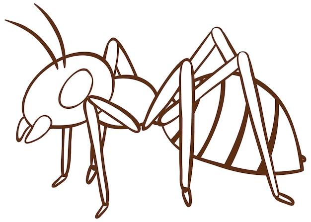  Does Splenda Draw Ants 