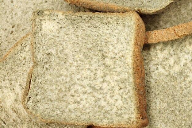  Does Toasting Bread Kill Mold 