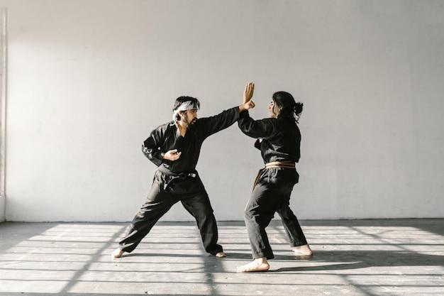 Which Martial Arts Technique Is Better Hapkido Vs Judo 