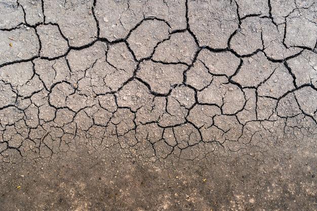  How Long Does It Take Soil To Dry After Rain 