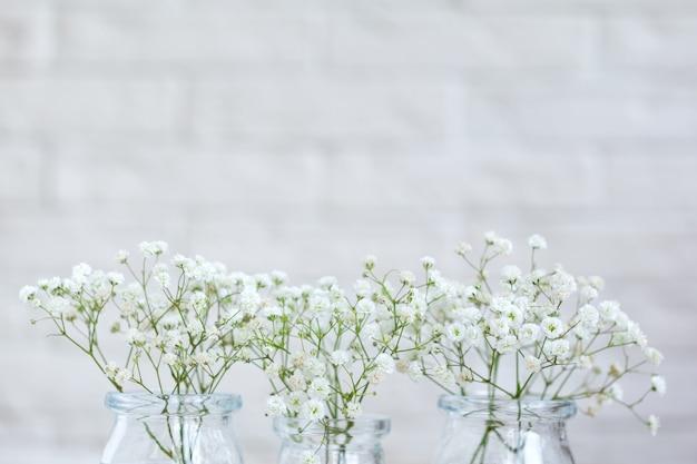  How Long Will Baby’s Breath Last Out Of Water 