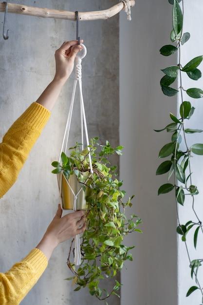  How Much Cord For Macrame Plant Hanger 