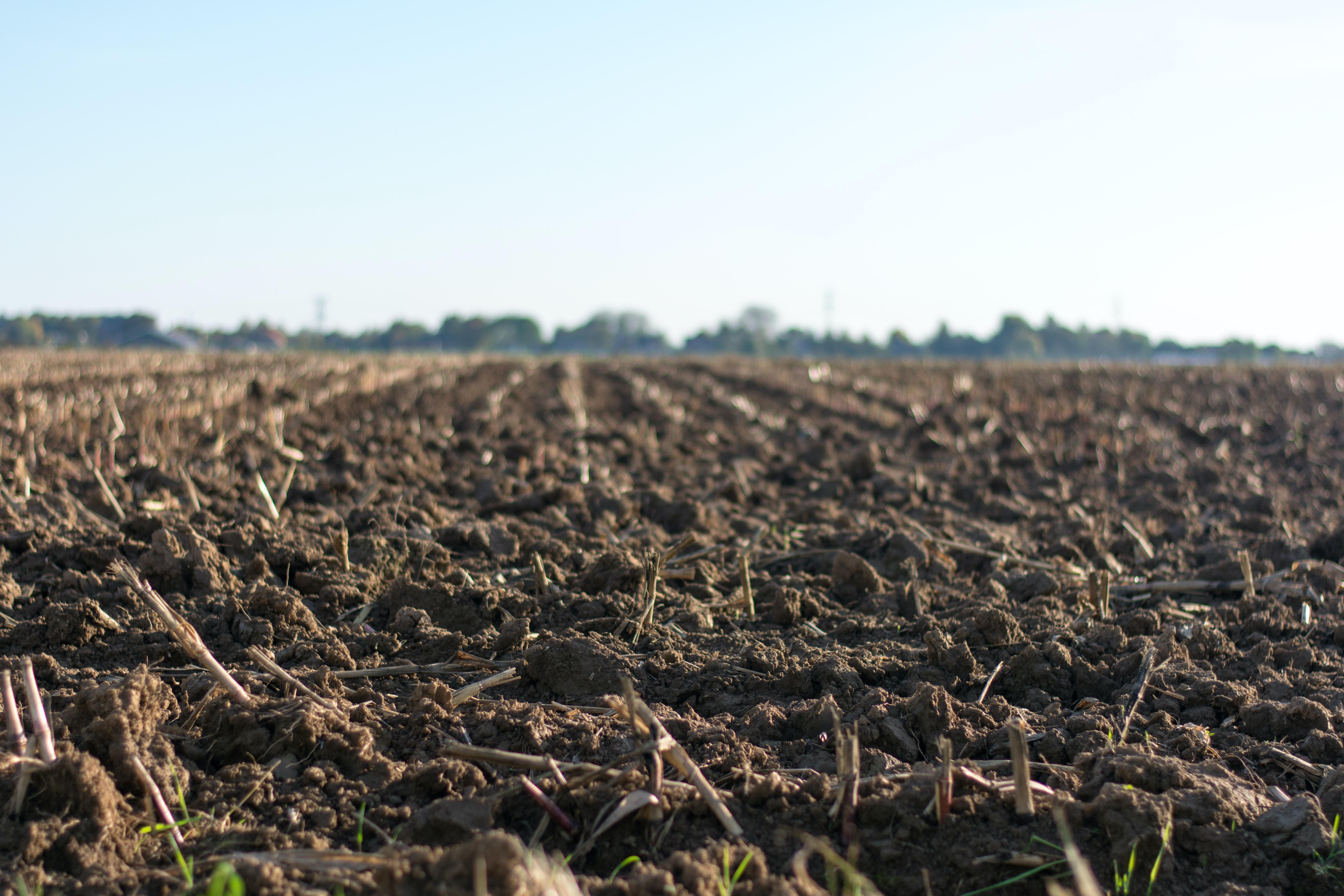  How Much Does It Cost To Clear And Level Land 