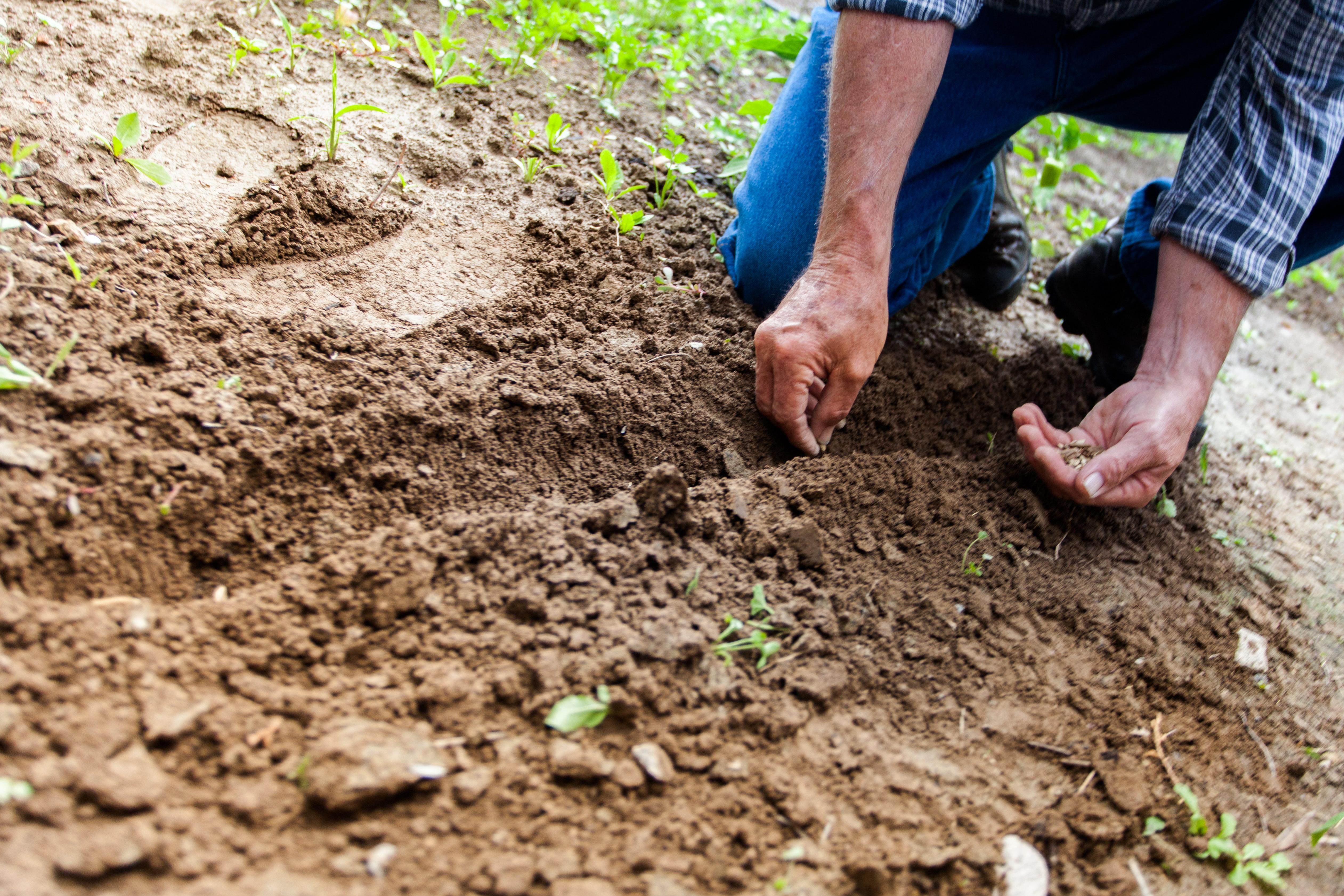 How Much Is A Cubic Foot Of Soil 