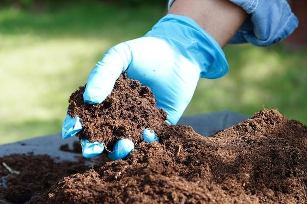 How Much Lime To Add To Peat Moss 