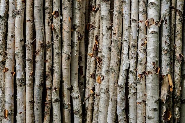 How To Clean Birch Branches For Crafts 