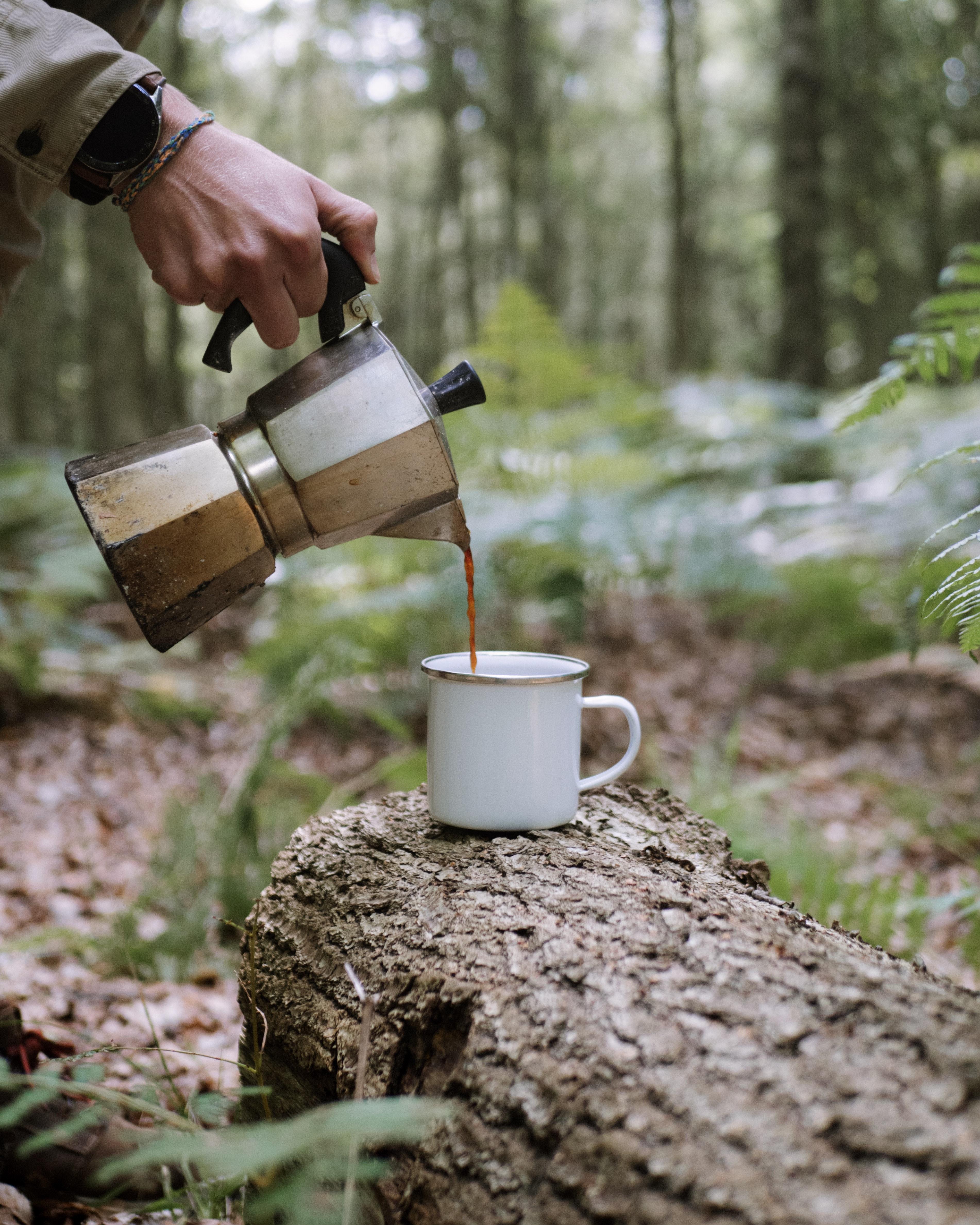  How To Craft A Pot In The Forest 