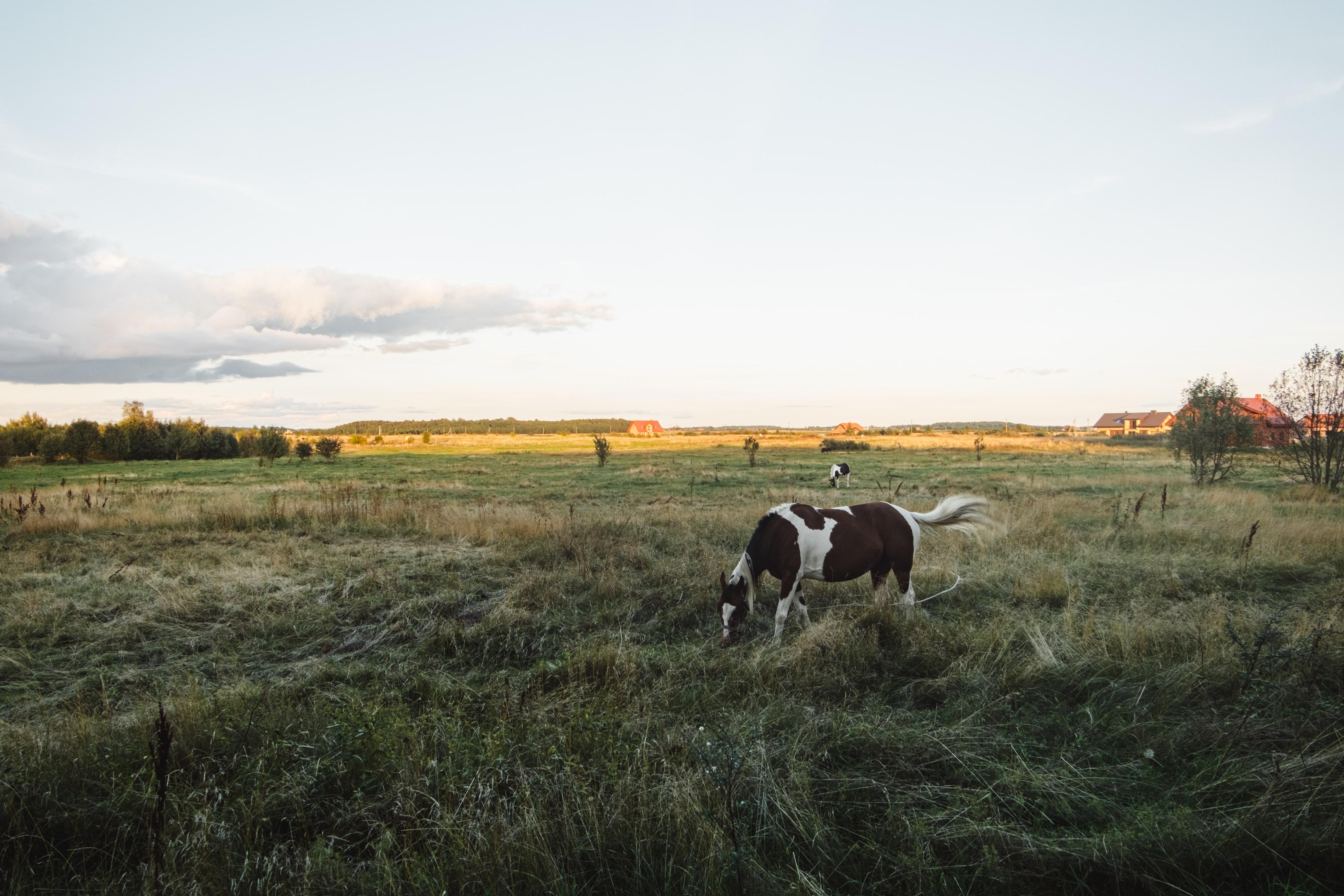 How To Craft A Ranch Block 